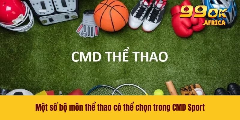 CMD Sport - Cá Cược Thể Thao Đỉnh Cao Rinh Thưởng Khủng 4 Một số bộ môn thể thao có thể chọn trong CMD Sport