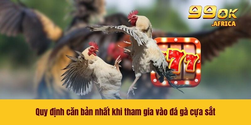 Đá Gà Cựa Sắt - Trải Nghiệm Từng Trận Đấu Máu Lửa Tại 99OK 3 Quy định căn bản nhất khi tham gia vào đá gà cựa sắt