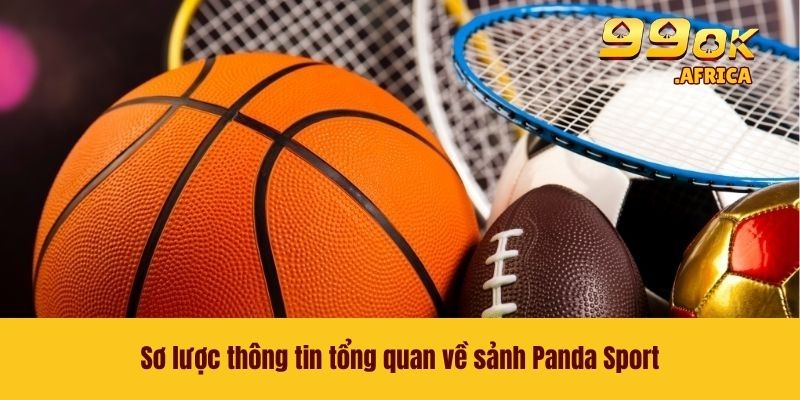 Panda Sport - Địa Chỉ Cá Cược Chất Lượng Nhất Năm 2026 1 Sơ lược thông tin tổng quan về sảnh Panda Sport