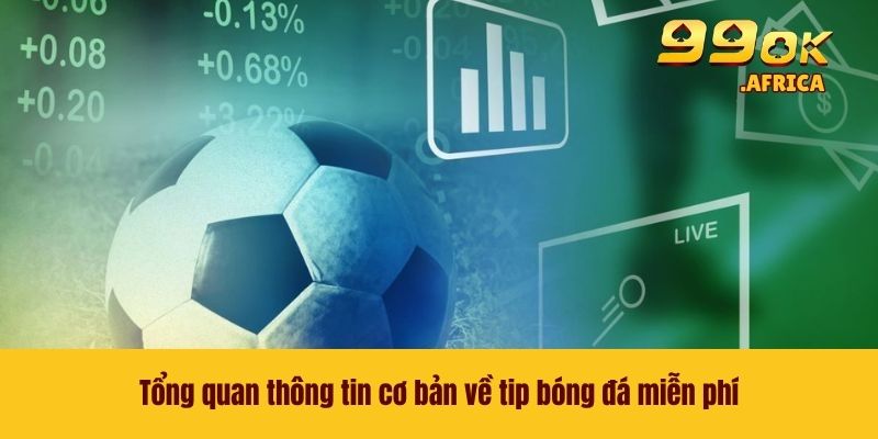 Tip Bóng Đá Miễn Phí - Chiến Thuật Cá Cược Giúp Thắng Lớn 2 Tổng quan thông tin cơ bản về tip bóng đá miễn phí