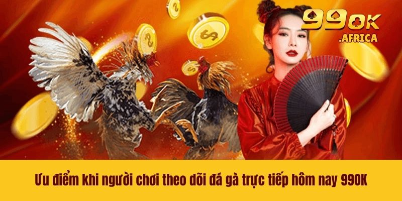 Đá Gà Trực Tiếp Hôm Nay - Theo Dõi Các Trận Chọi Kê Tại 99OK 3 Ưu điểm khi người chơi theo dõi đá gà trực tiếp hôm nay 99OK